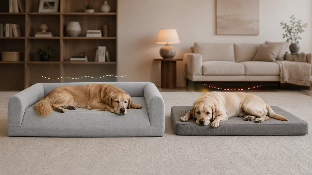 Orthopedic Dog Bed vs Regular Memory Foam Dog Bed